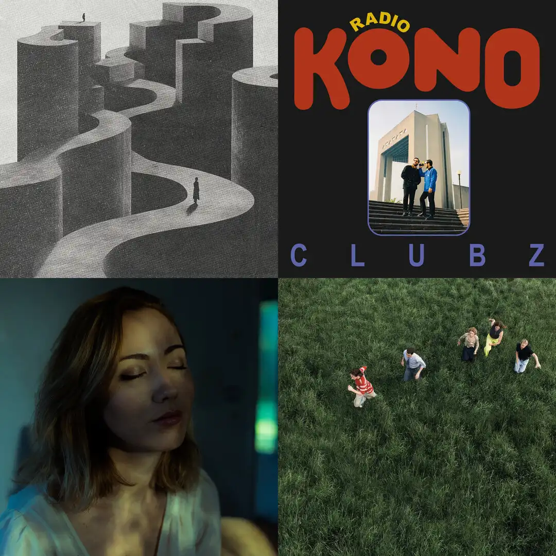 Collage de discos de la playlist actual